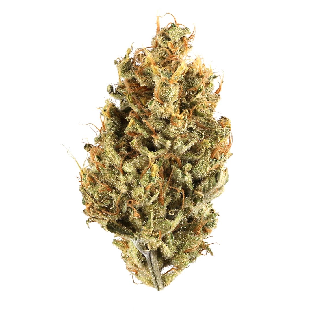 115 Best Weed Strains of All Time 54 weed strain image