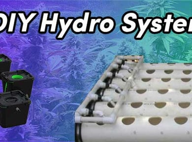 Simple DIY Hydroponic Systems (Tutorials & Diagrams) 14