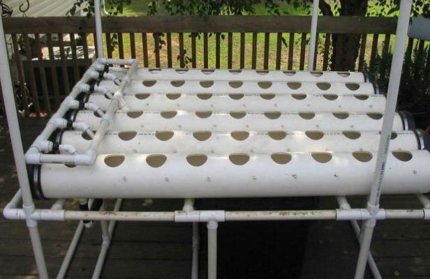 7 diy hydroponics systems – build yours today nft diy hydroponics system