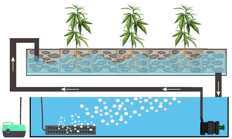 Ebb & Flow Hydroponics System 27