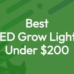 What Are The Best Cheap LED Grow Lights For Growing Cannabis? 3