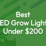 What Are The Best Cheap LED Grow Lights For Growing Cannabis? 10