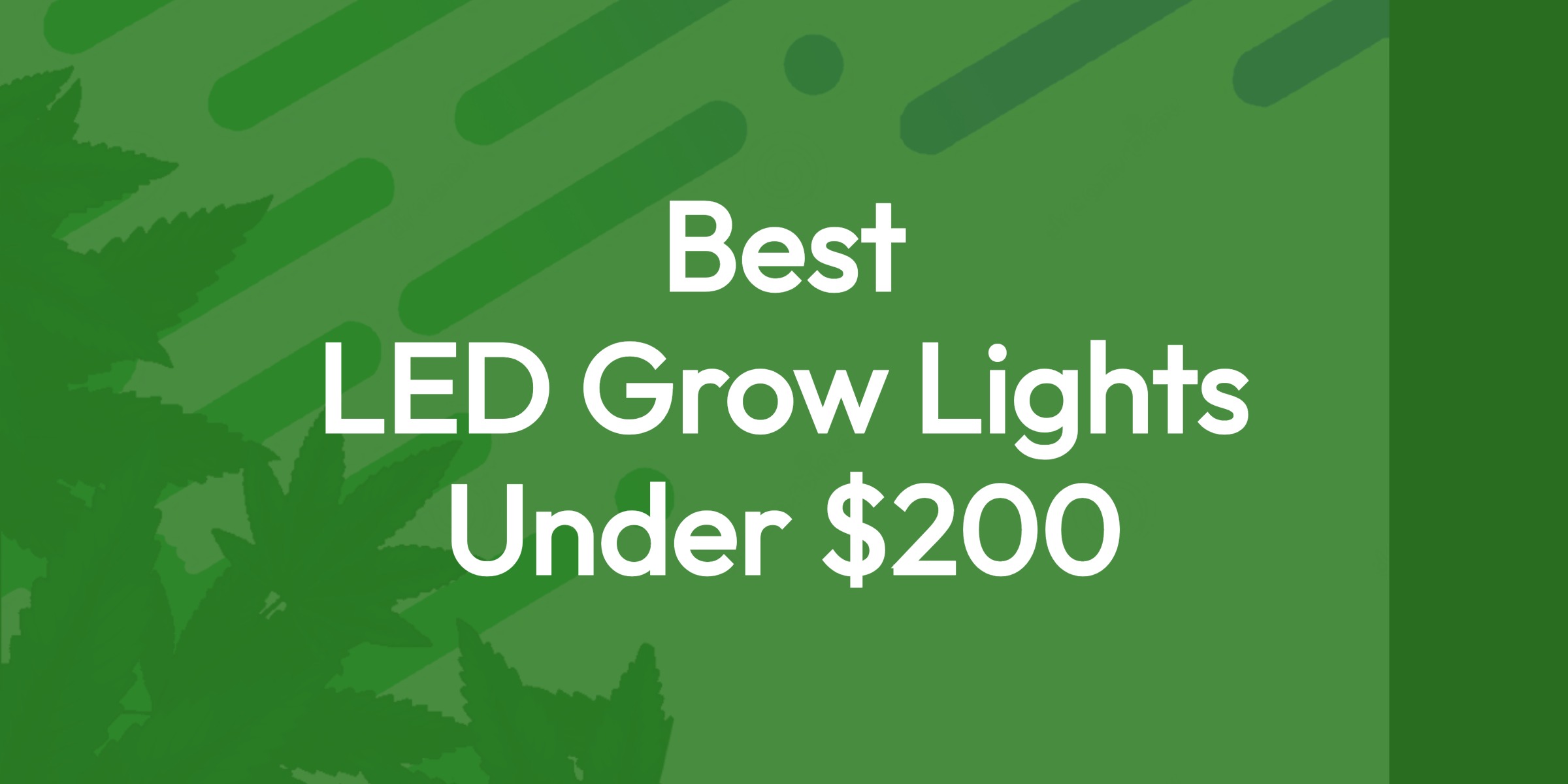 What Are The Best Cheap LED Grow Lights For Growing Cannabis? 1