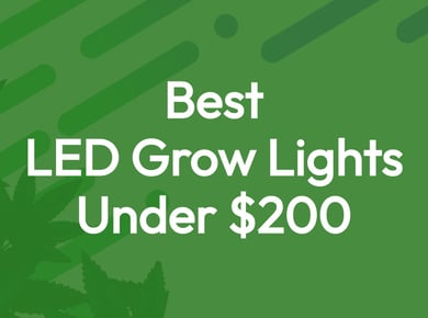 What Are The Best Cheap LED Grow Lights For Growing Cannabis? 1