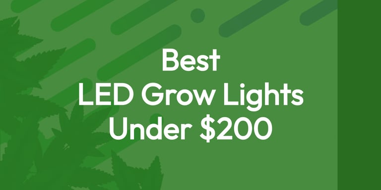 What Are The Best Cheap LED Grow Lights For Growing Cannabis? 13