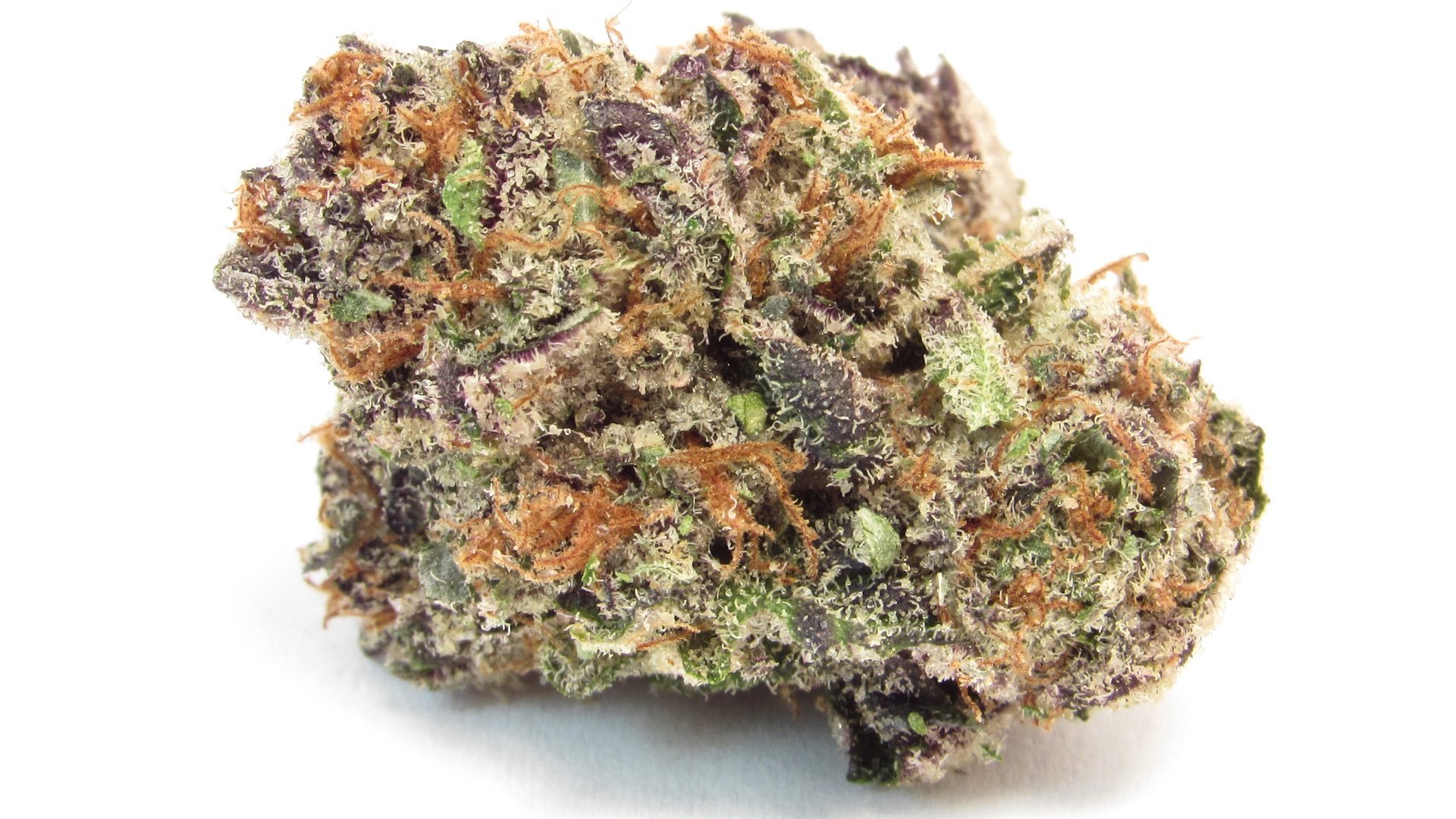 115 Best Weed Strains of All Time 50 weed strain image