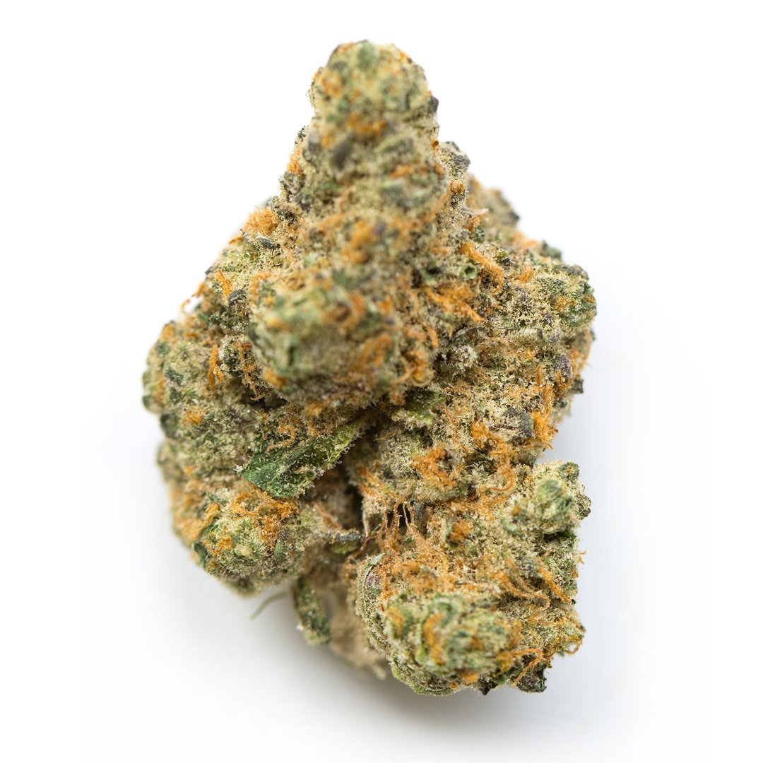 115 Best Weed Strains of All Time 4 Girl Scout Cookies weed strain