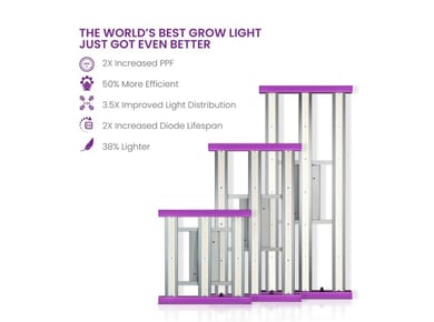 Kind LED Grow Light Review 6