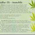 More information on sulphur deficiencies in your cannabis plant