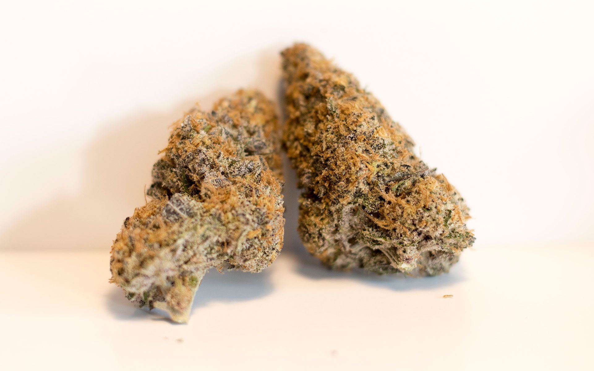 115 Best Weed Strains of All Time 8 weed strain image