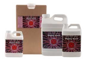 Hemp Russet Mites 6 Mighty Wash kills marijuana spider mites