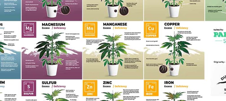 Cannabis Nutrient Deficiencies: Complete Guide [Visual Charts] 1
