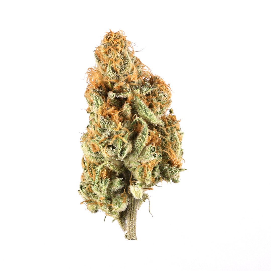 weed strain image