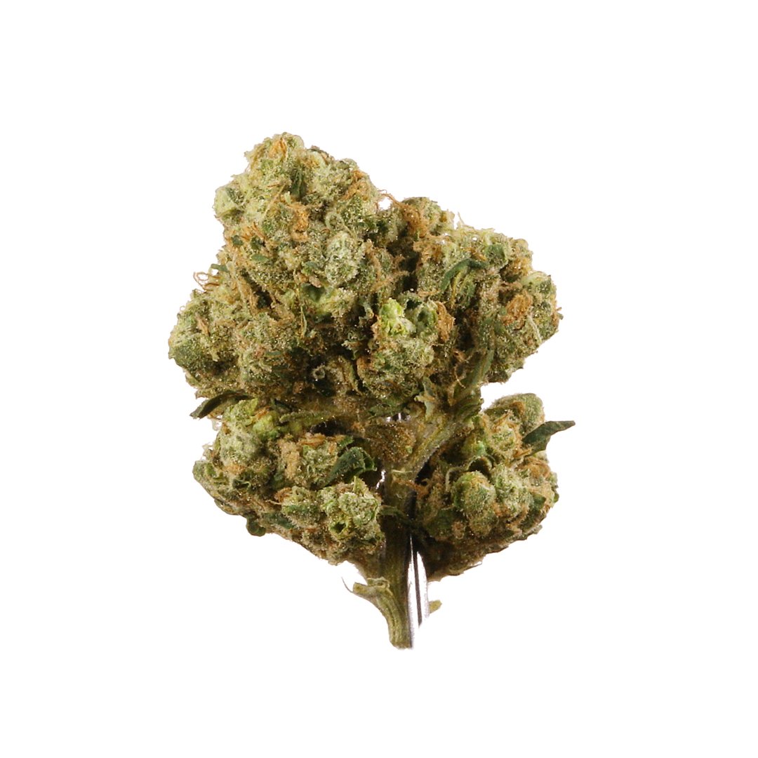 115 Best Weed Strains of All Time 30 weed strain image
