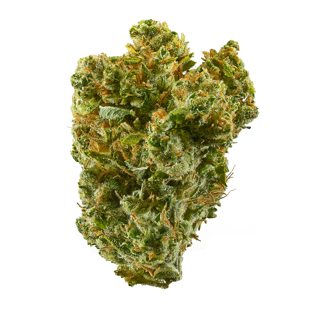 115 Best Weed Strains of All Time 36 weed strain image