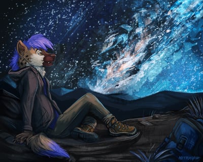 Night-time in the Desert