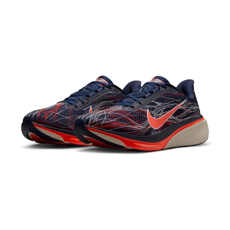 Кроссовки Nike Pegasus 42