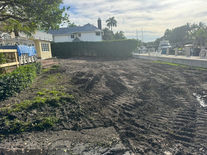 Backfilled yard after residential pool removal in Rio Vista, Fort Lauderdale, 2026