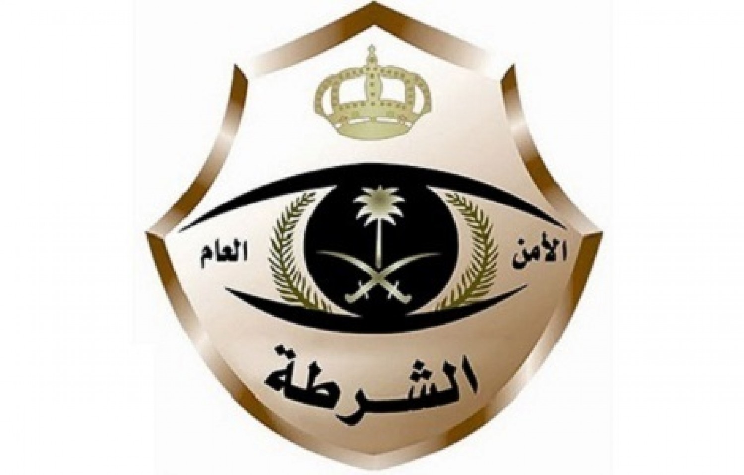 ?زان.. القبض على مخالف لنظام