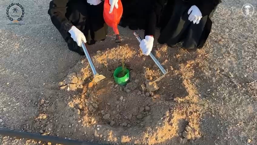 صورة من الألبوم