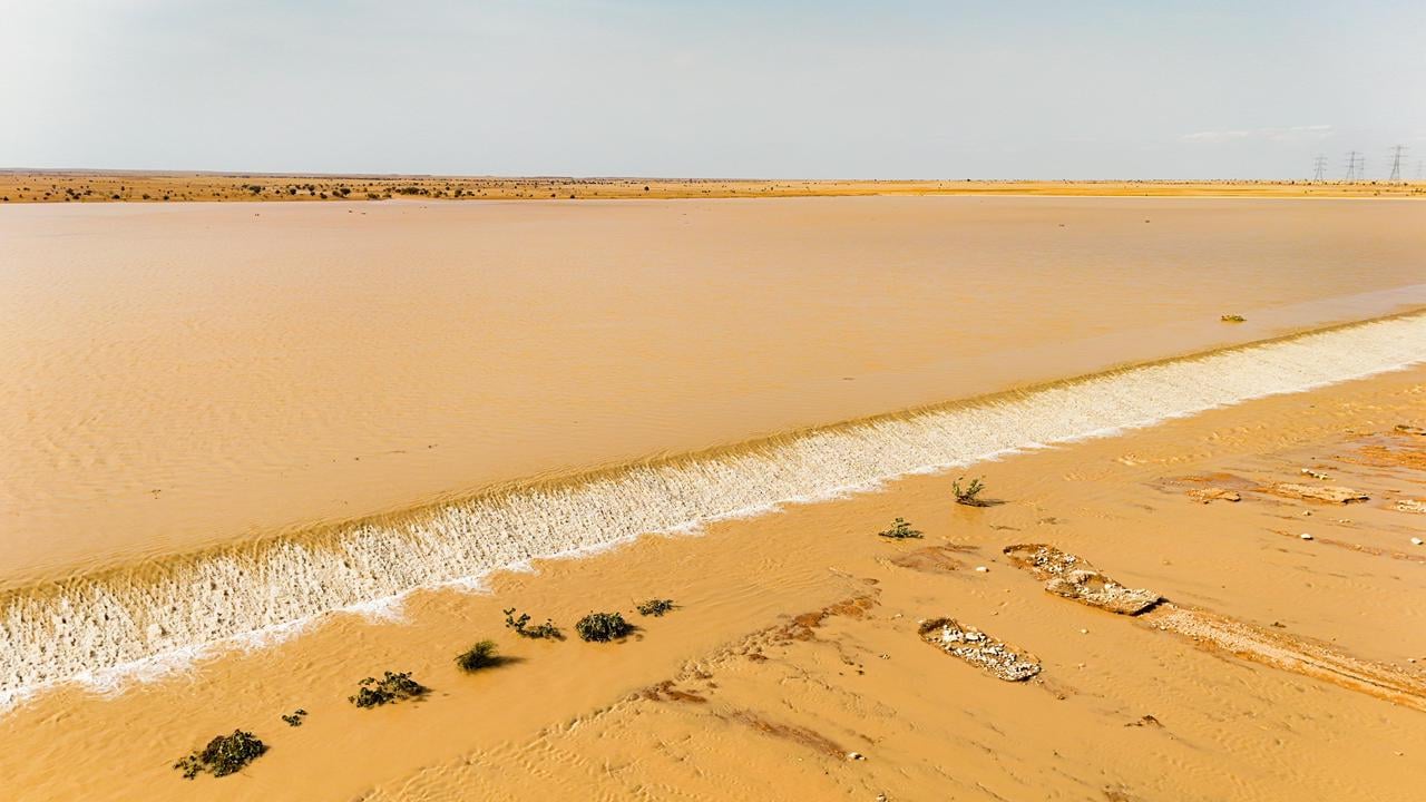 صورة من الألبوم