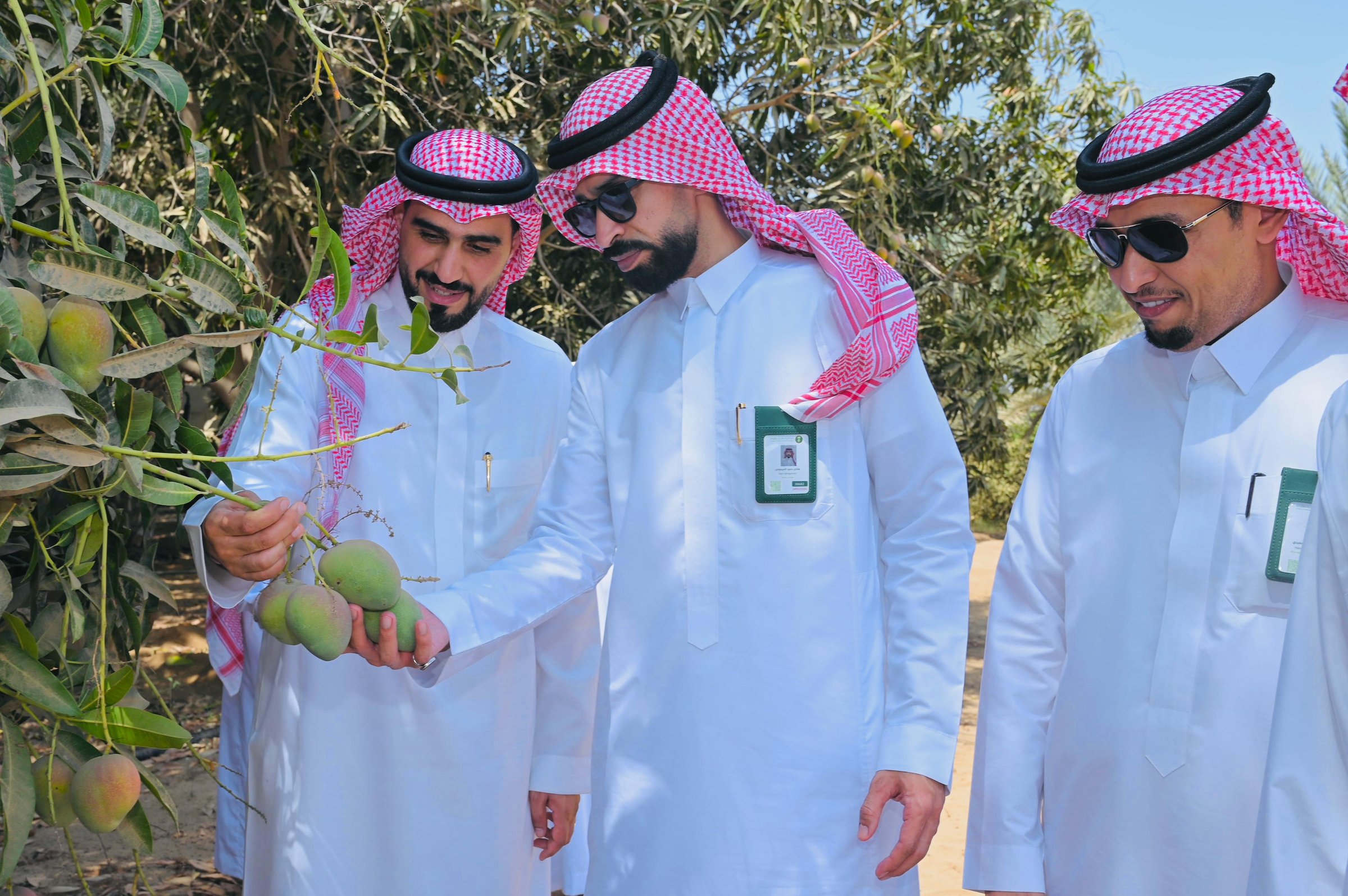 صورة من الألبوم