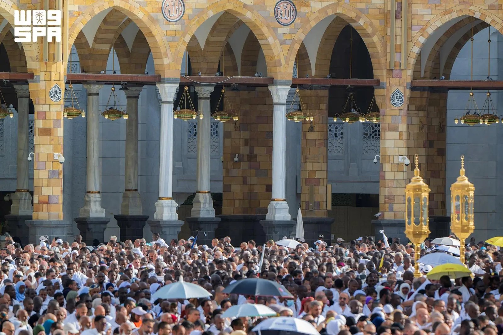 صورة من الألبوم