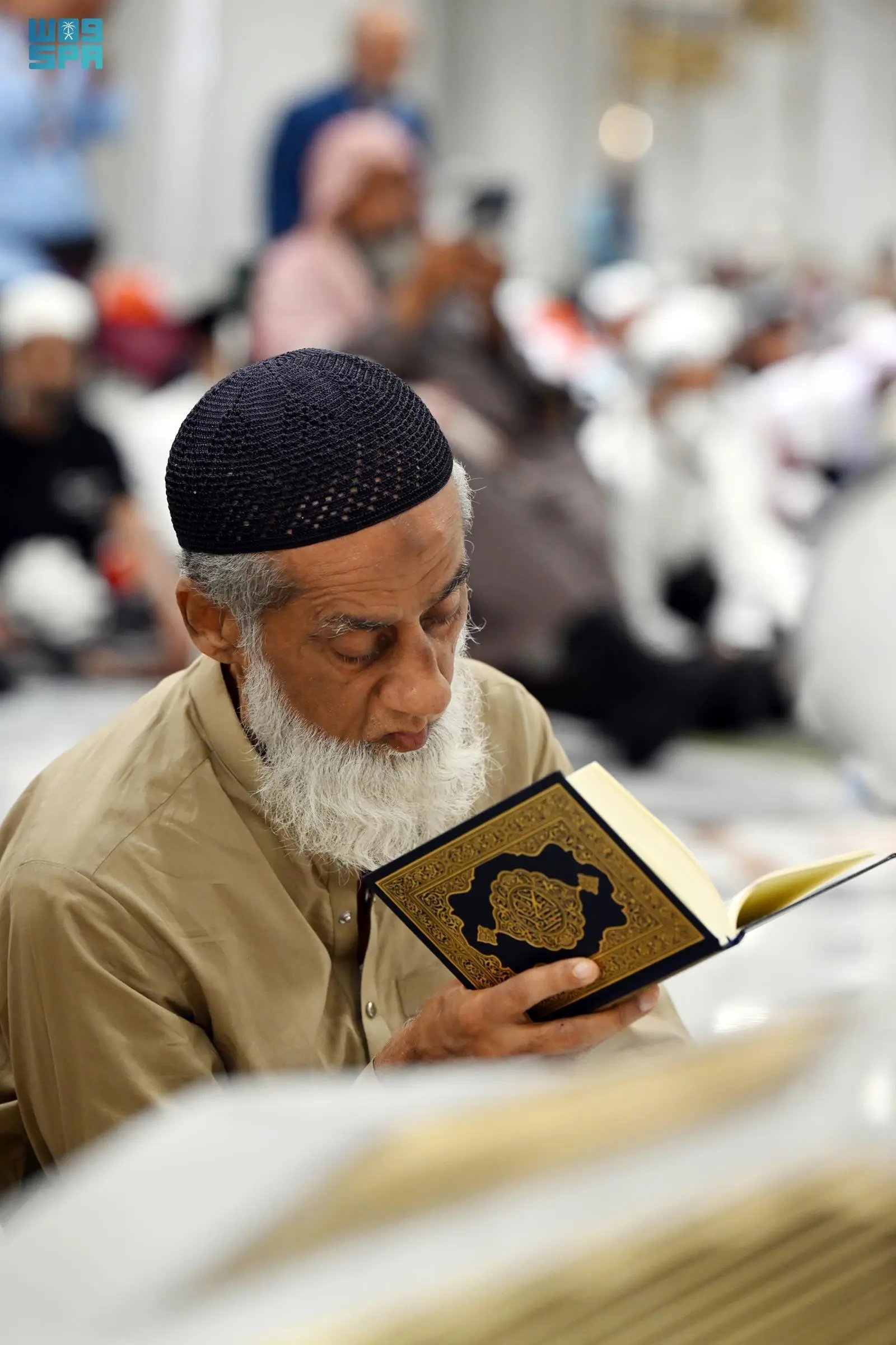 صورة من الألبوم