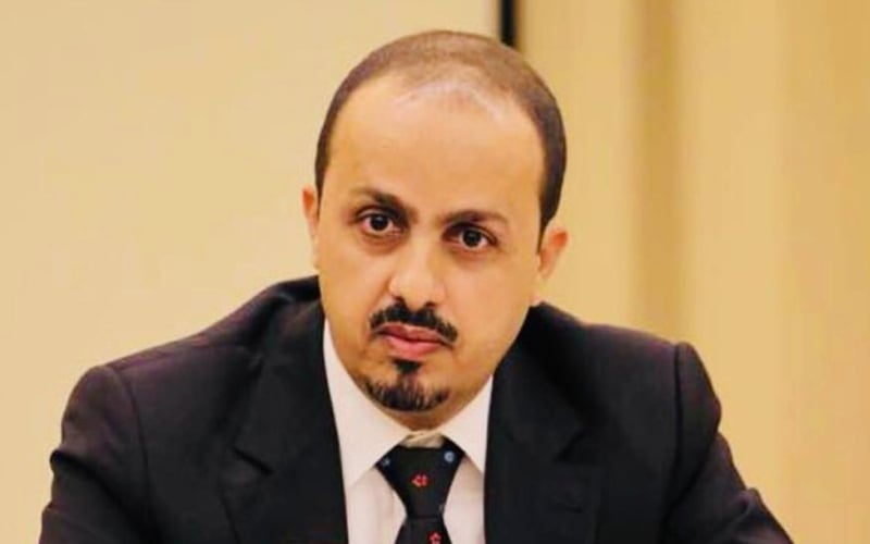 ?لحكومة اليمنية تحذر من موجات
