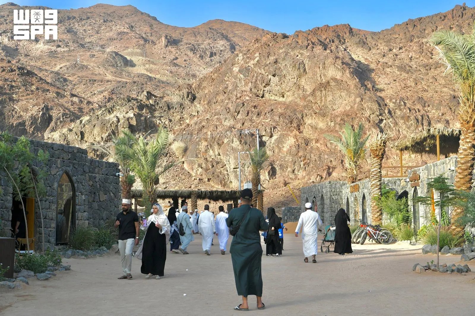 صورة من الألبوم