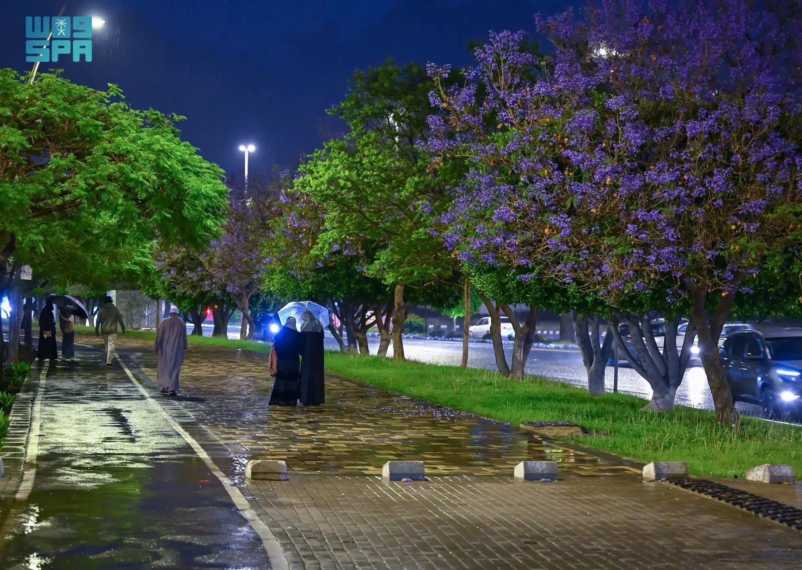 صورة من الألبوم