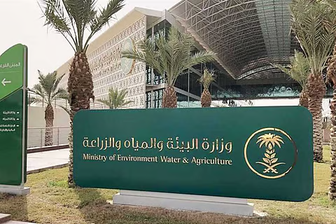 البيئة: إرشادات صحية لاختيار الأضاحي لضمان جودة اللحوم. اختيار الأضحية السليمة يقلل مخاطر الأمراض ويضمن جودة اللحوم وسلامتها للاستهلاك خلال موسم الحج.. الفحص الصحي الظاهري (التنفس، النشاط، وخلو الإفرازات أو الخمول) معيار أساسي للاختيار الآمن 