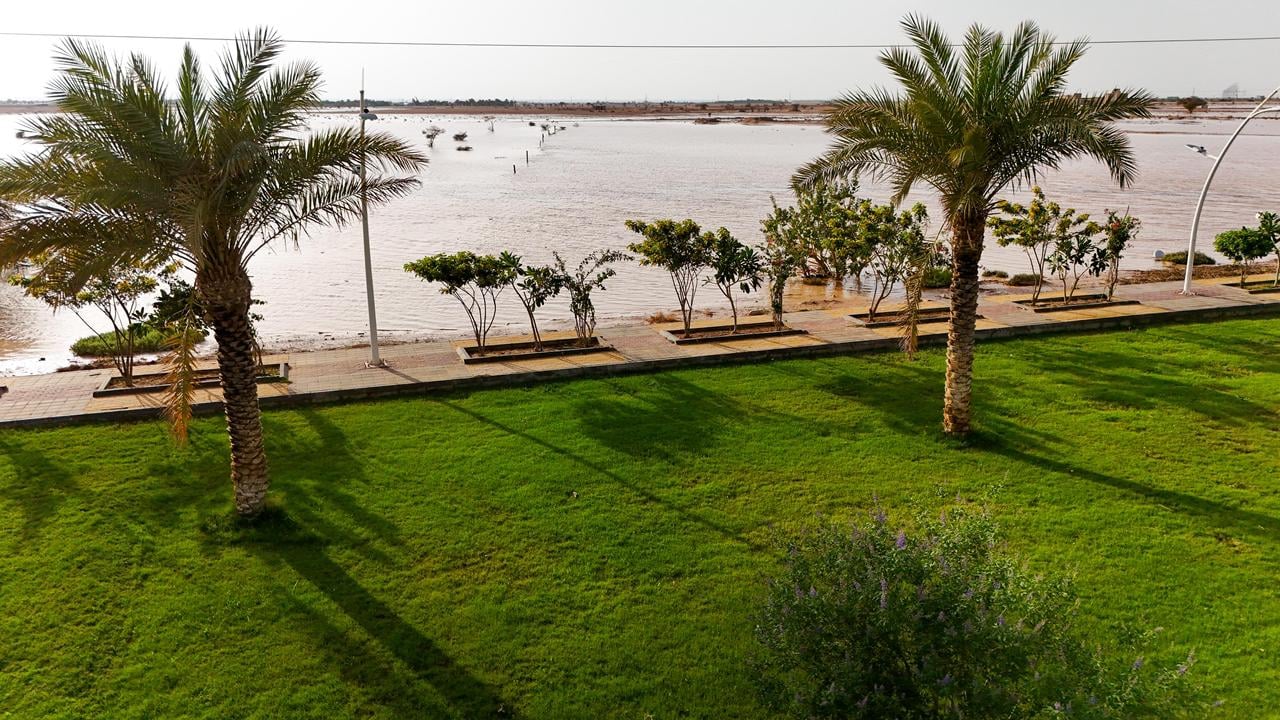 صورة من الألبوم