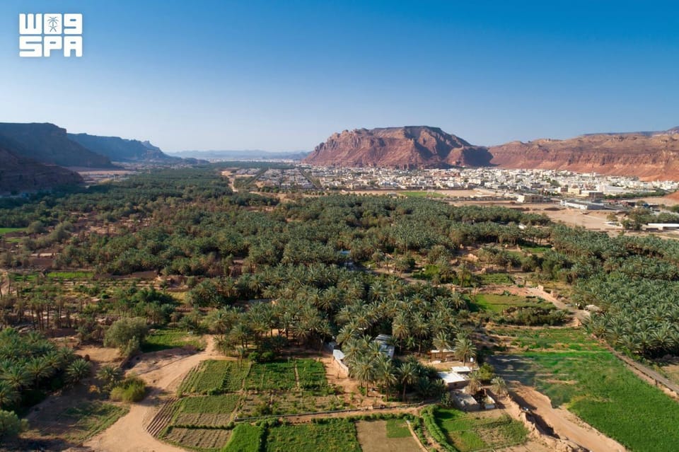 صورة من الألبوم