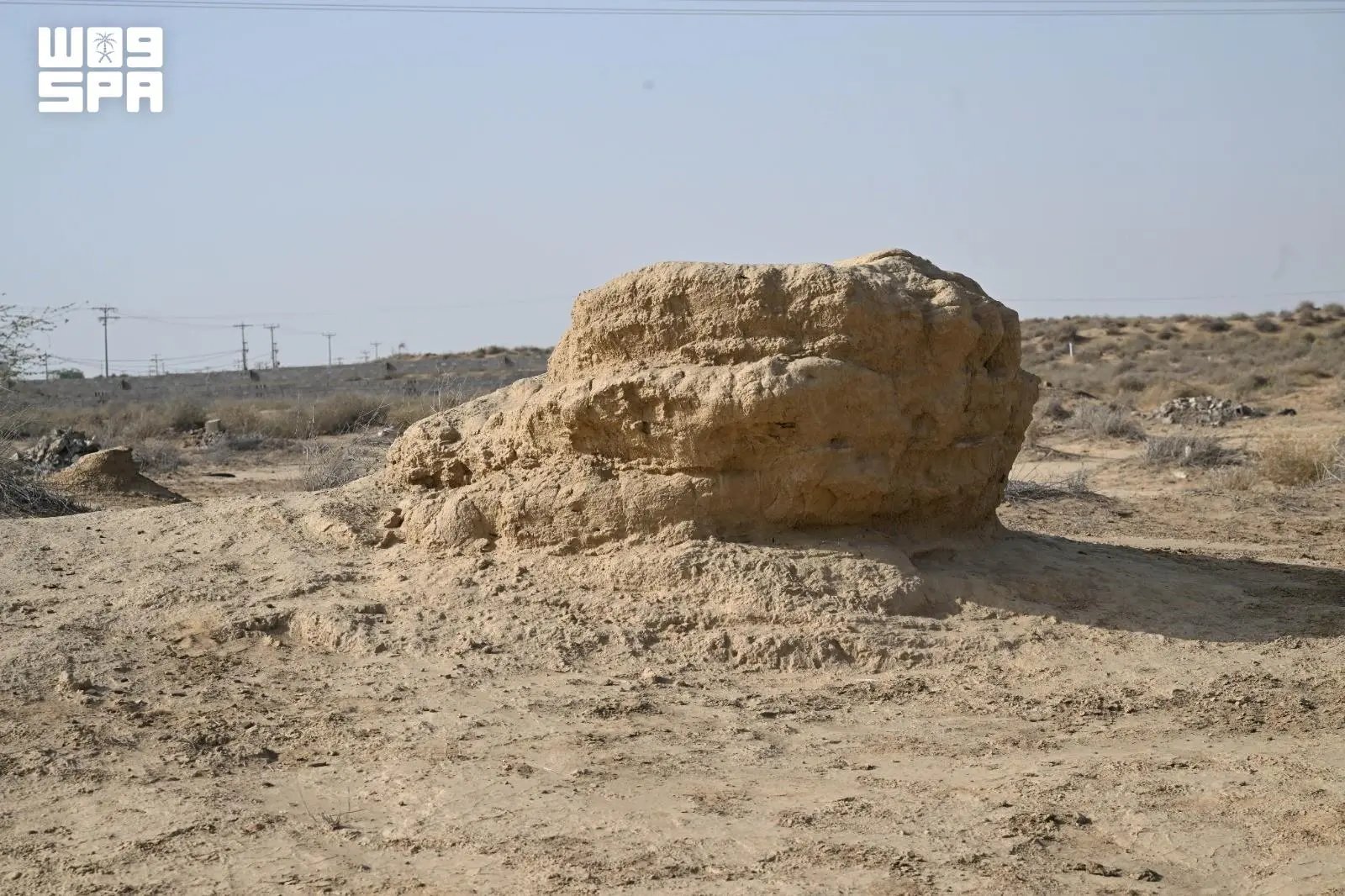صورة من الألبوم