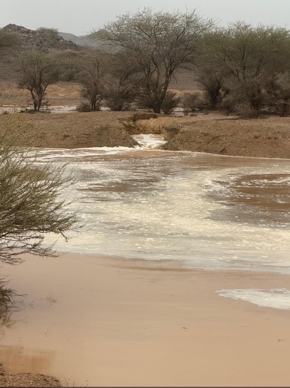 أمطار الرين اليوم