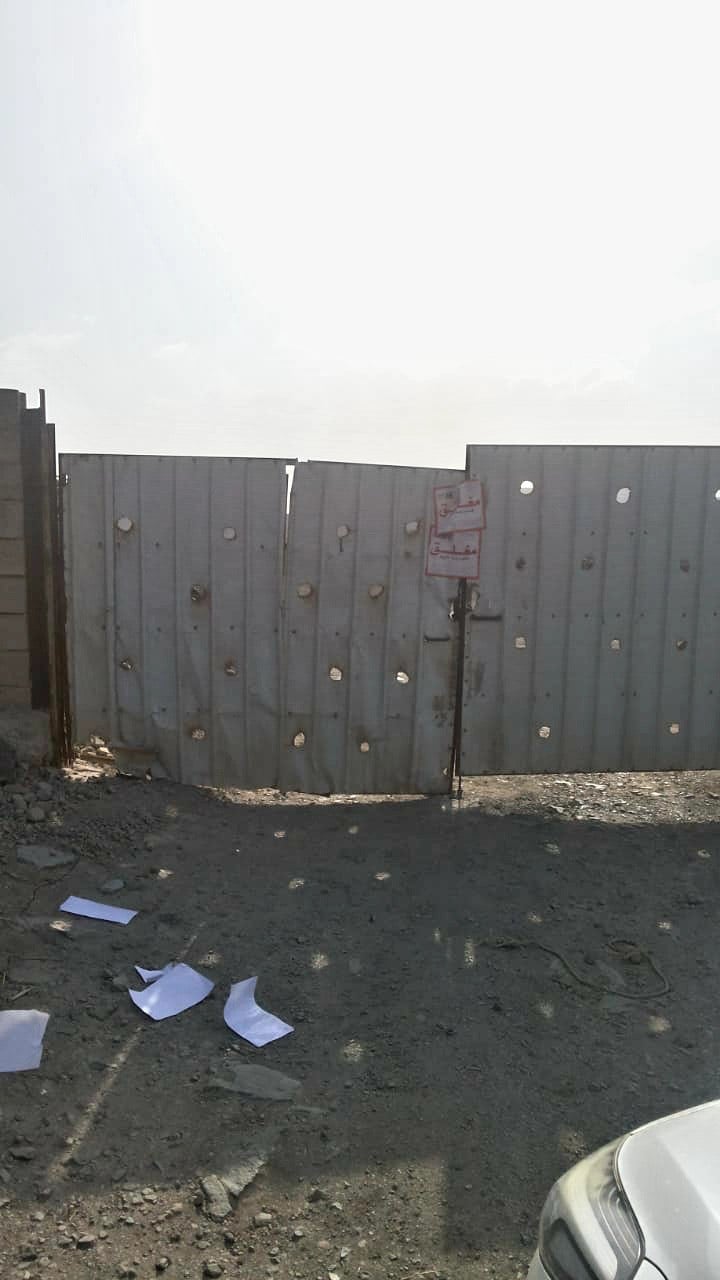 ?داخلها ألف طائر.. لجنة رباعية