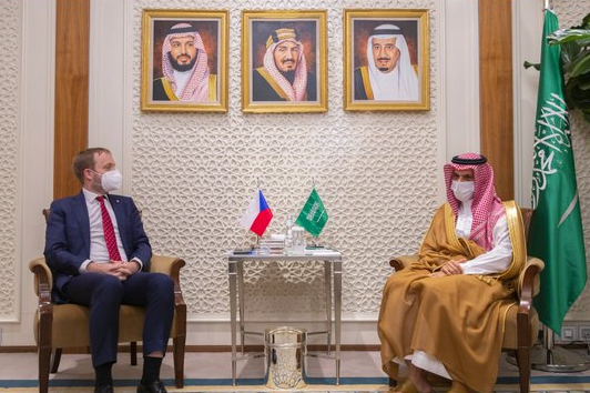 وزير الخارجية يستقبل نظيره التشيكي
