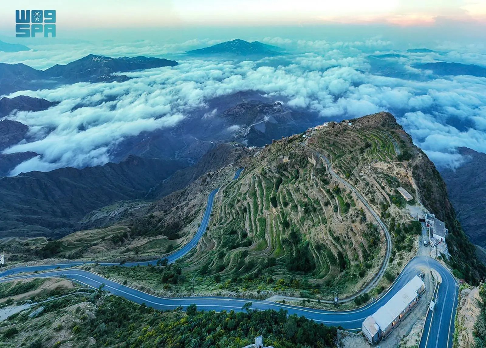 صورة من الألبوم
