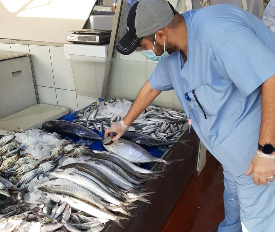 مراقبو سمك جدة يصادرون نصف
