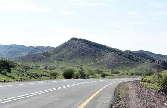 لجان تجارية تزور وادي الفرع للوقوف على فرص الاستثمار. المحافظة تتميز بمقومات تاريخية وزراعية واقتصادية ووفرة النخيل والعيون. إنشاء محطة قطار والشاليهات والسكنية. مطالب الأهالي تشمل معالجة النقاط السوداء وربط المحافظة بالساحل الغربي 
