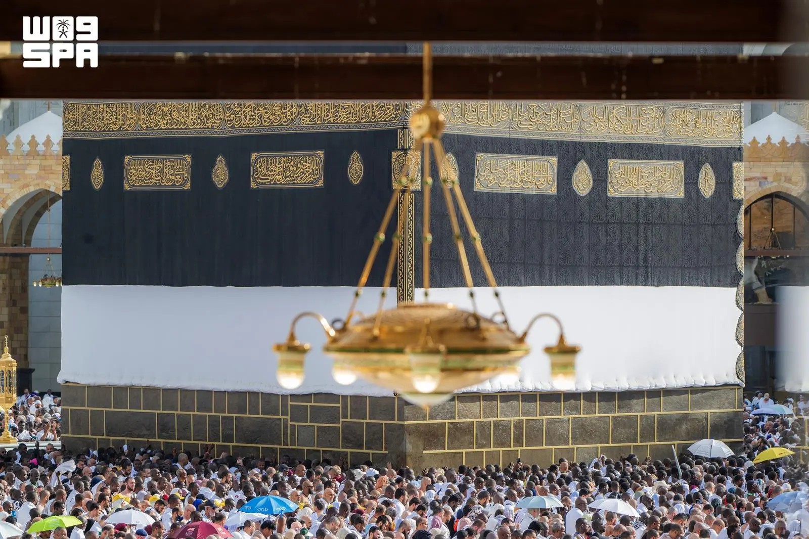 صورة من الألبوم