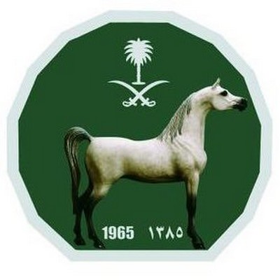 مليون ريال لكل شوط..سباقات الخيل