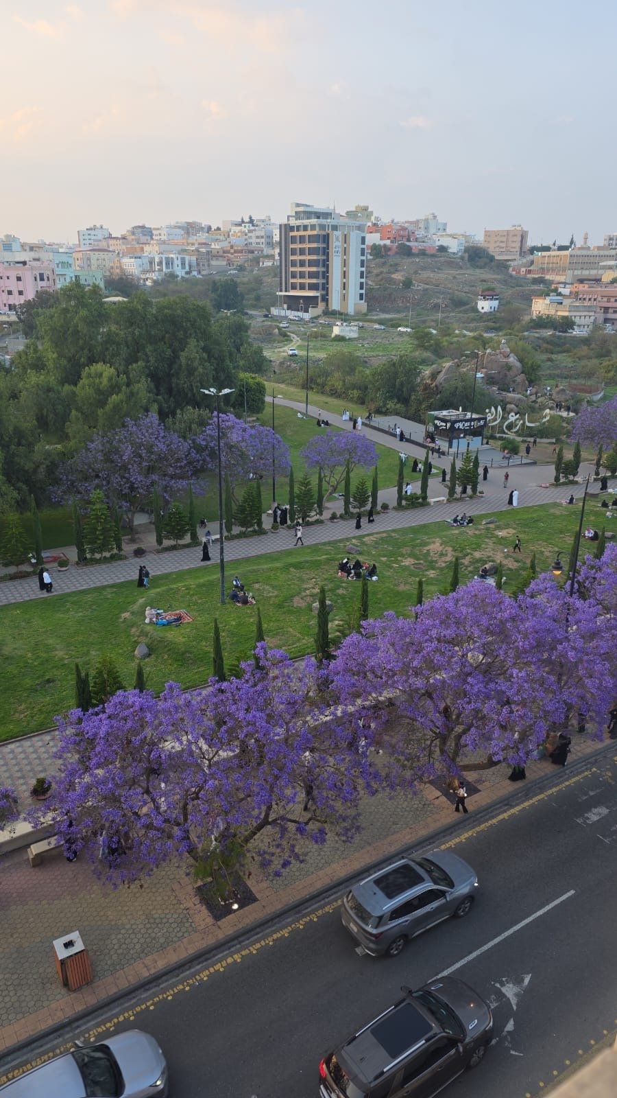 صورة من الألبوم