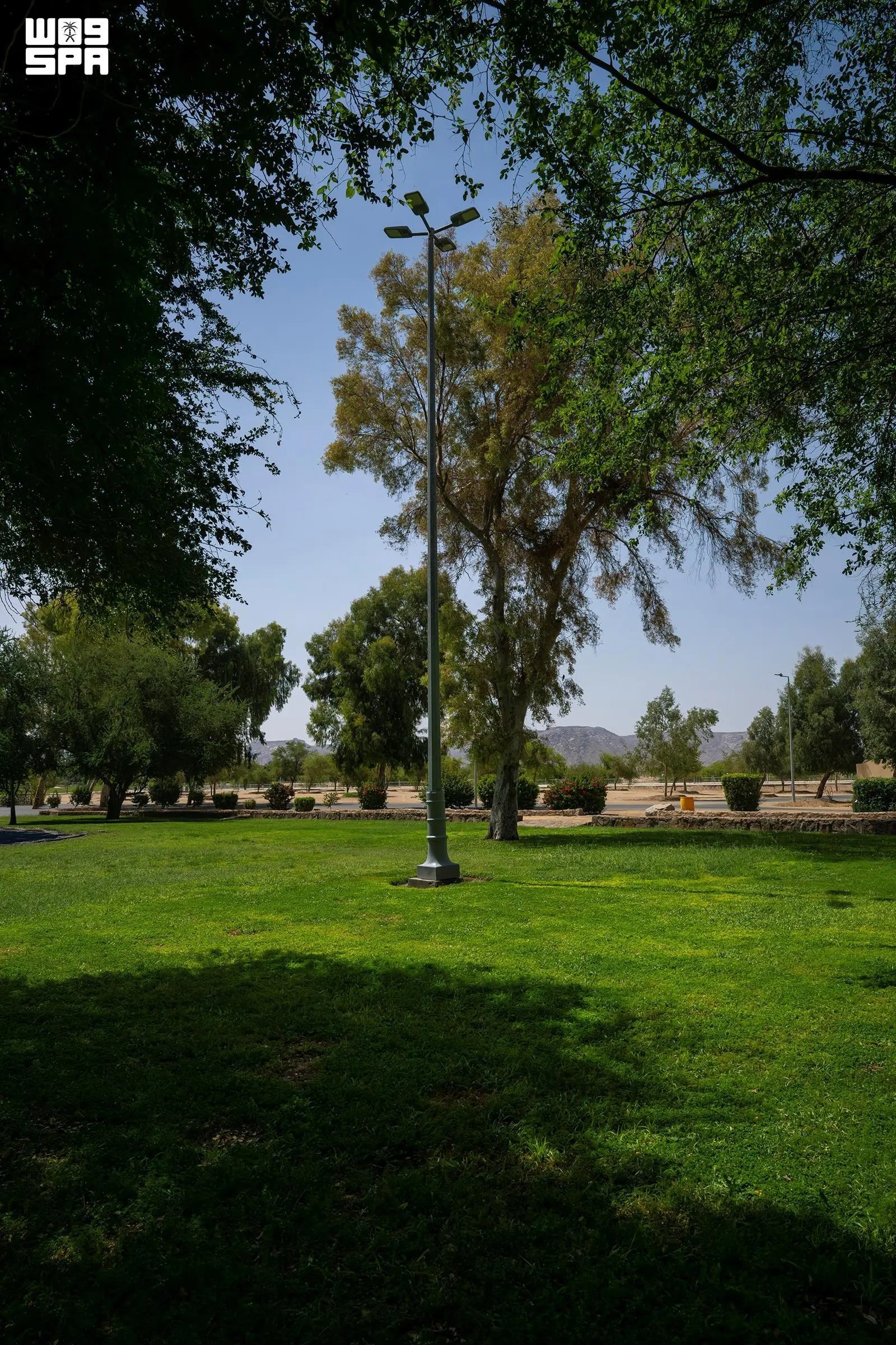صورة من الألبوم