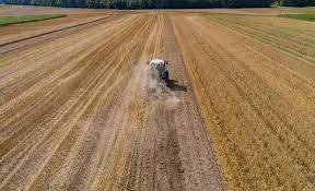 الحصيني: السبت بداية «بذرة الست» وفترة مناسبة لزراعة المحاصيل. تبدأ السبت وتمتد 6 أيام. مناسبة لزراعة المحاصيل الشتوية والصيفية. تنتهي الخميس 24 / 8 / 1447هـ. توافق 7 12 فبراير ميلاديًا. تتميز باعتدال الأجواء وتحسّن فرص الإنبات 