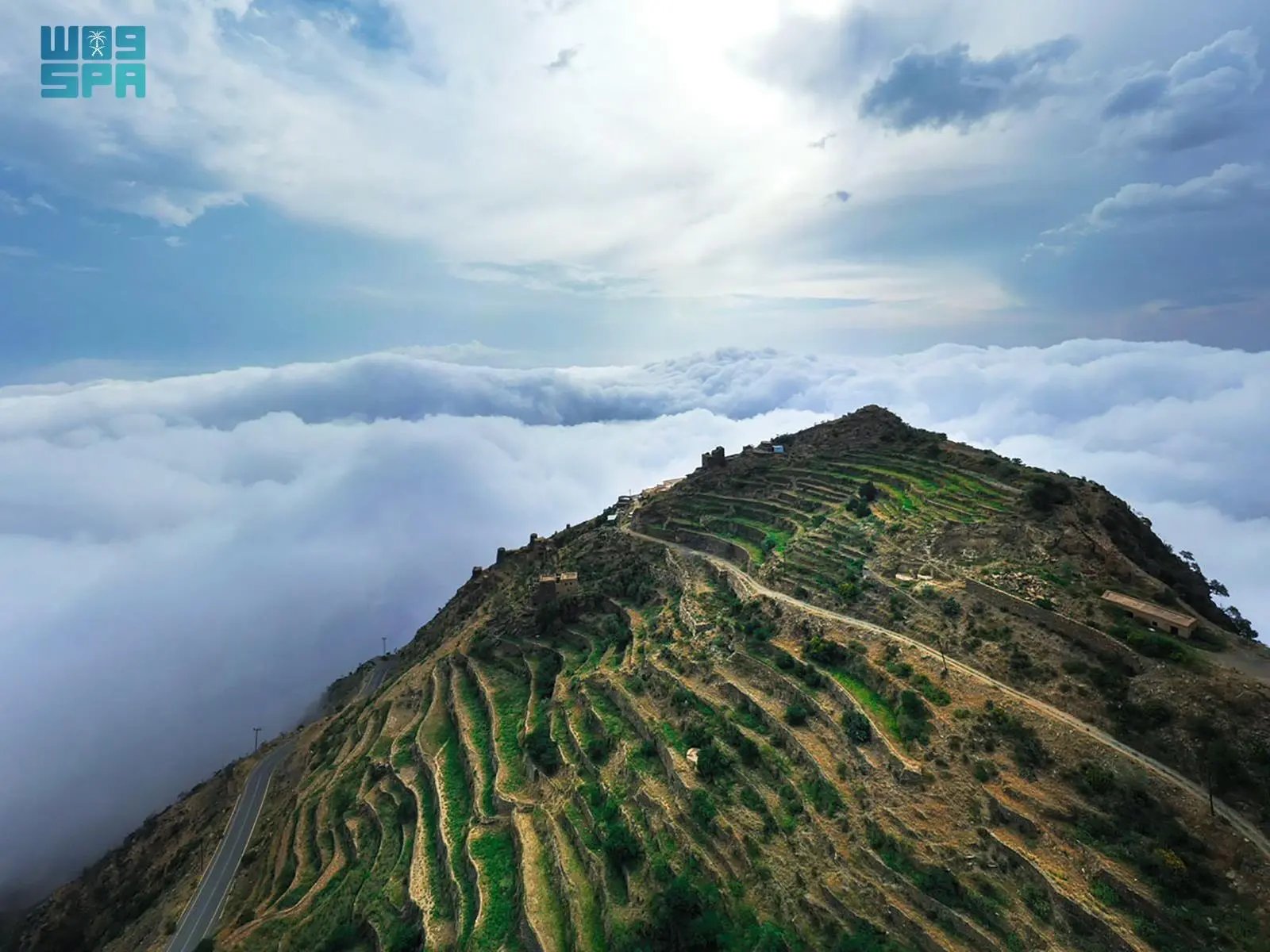 صورة من الألبوم
