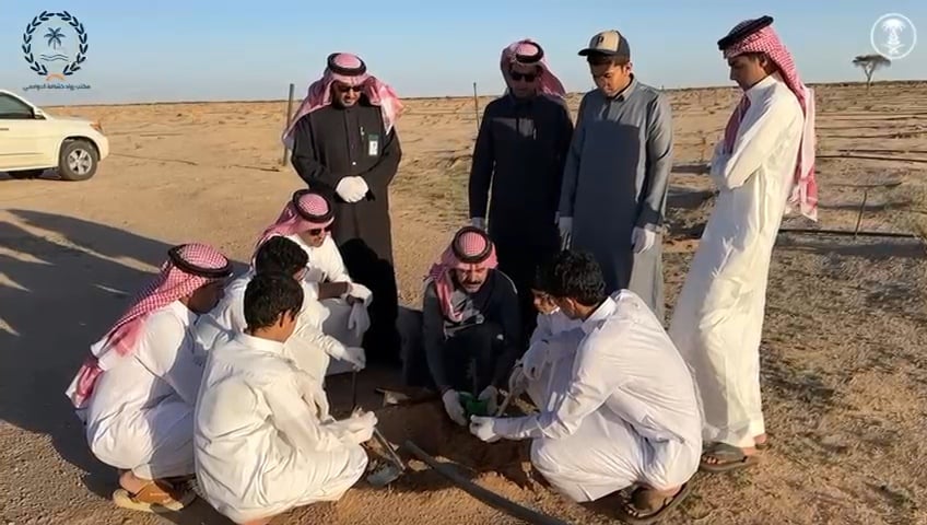 صورة من الألبوم