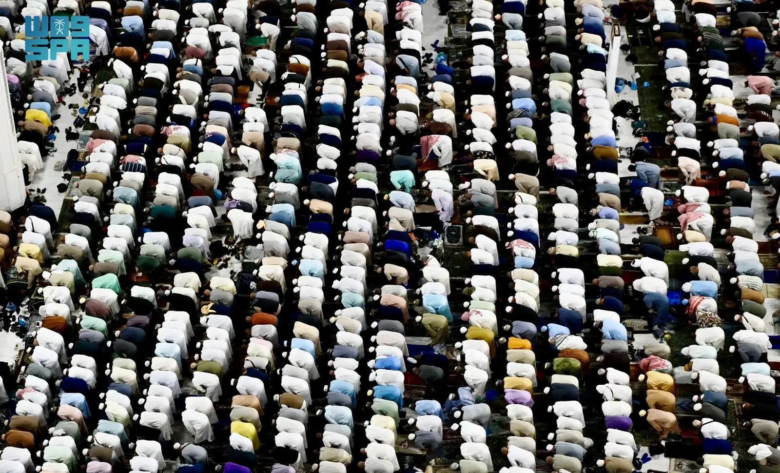 صورة من الألبوم