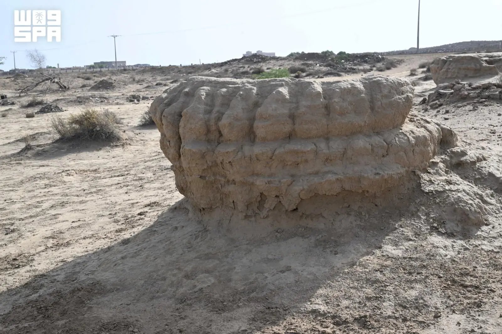 صورة من الألبوم